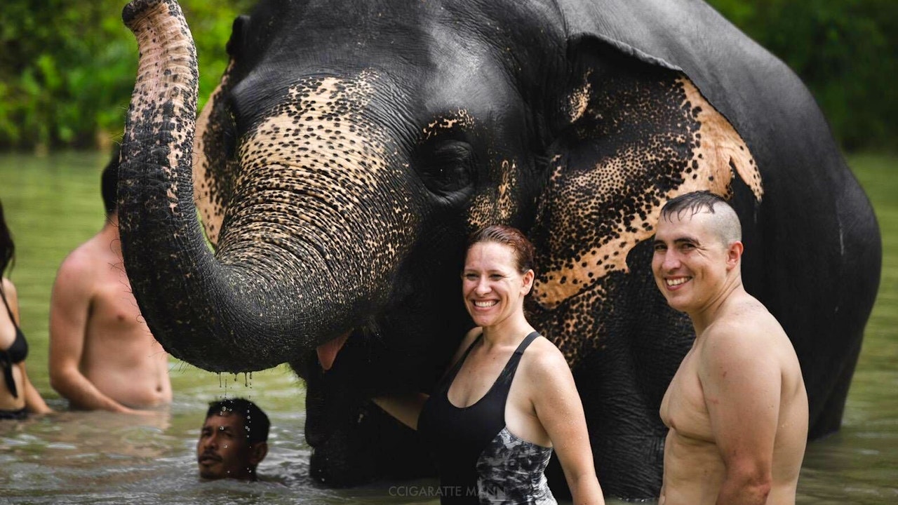 Elephant Jungle Sanctuary Experience in Phuket