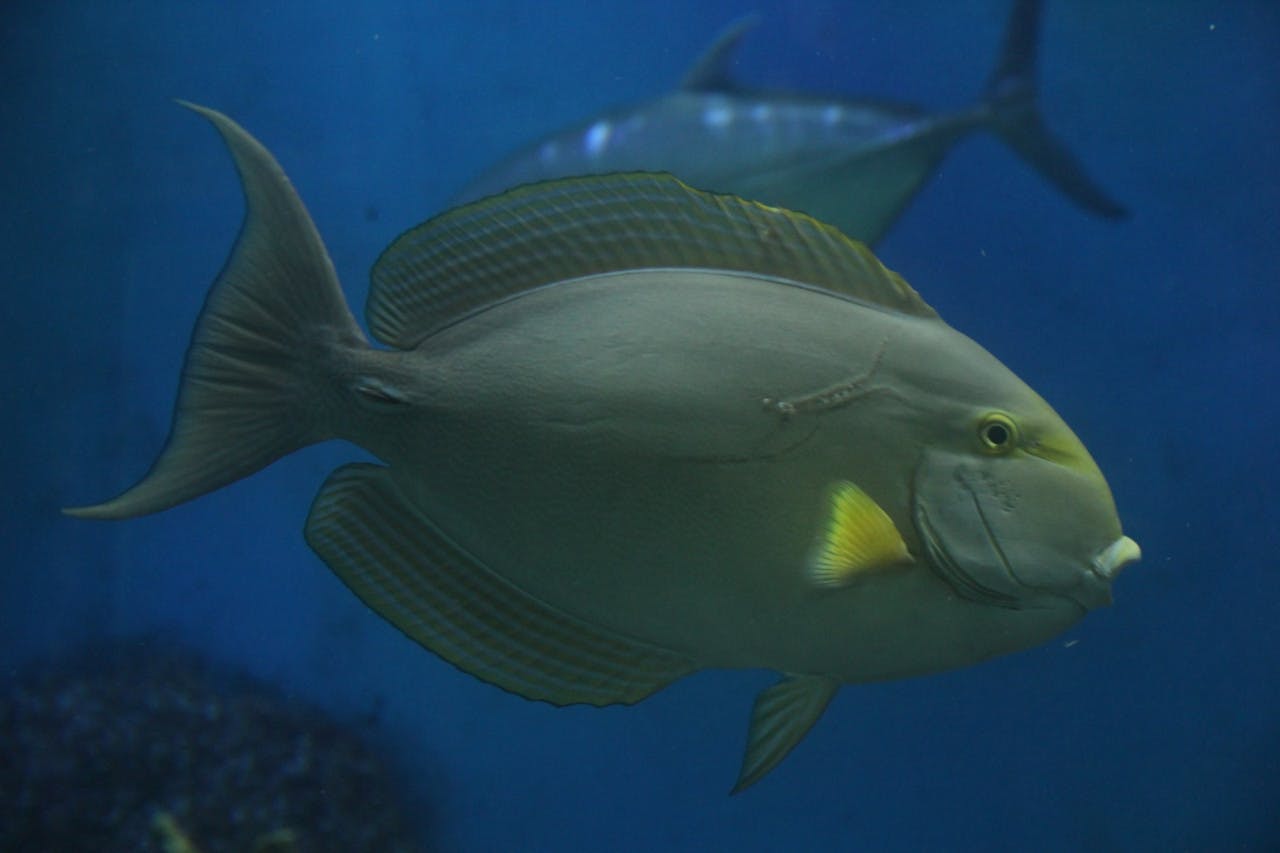 Underwater World Langkawi Location