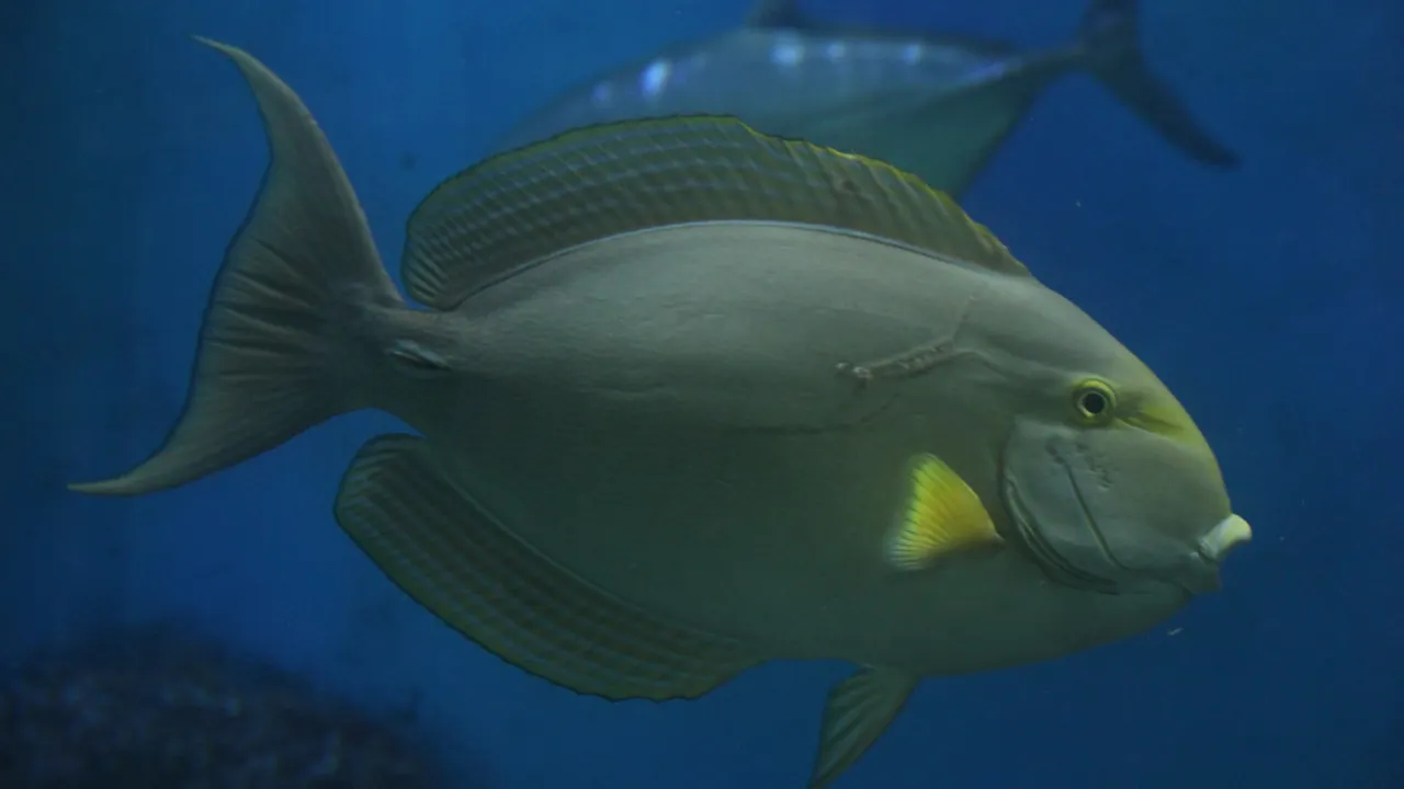 Underwater World Langkawi Location