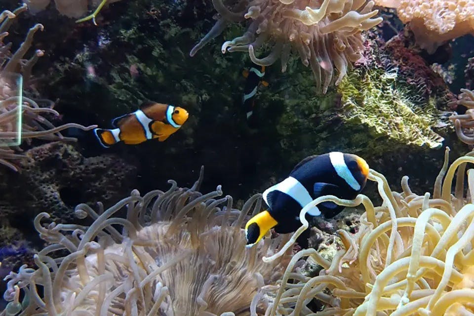 Underwater World Langkawi Thrillark