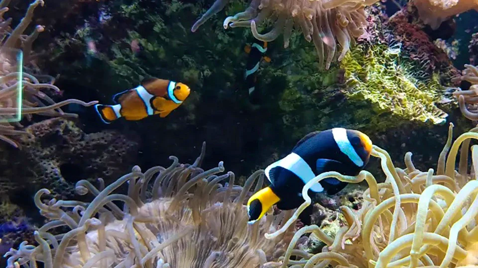Underwater World Langkawi Thrillark