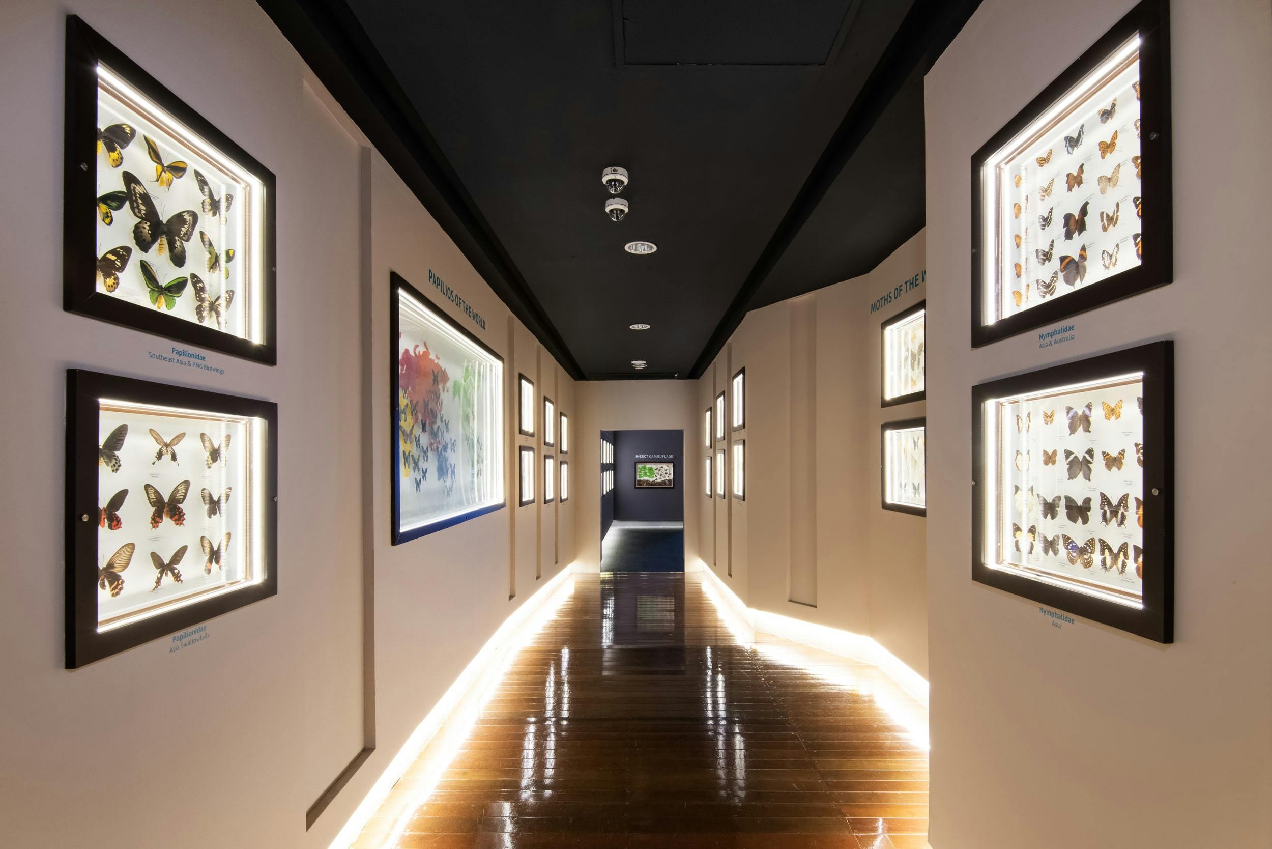 Entopia Admission Tickets Thrillark