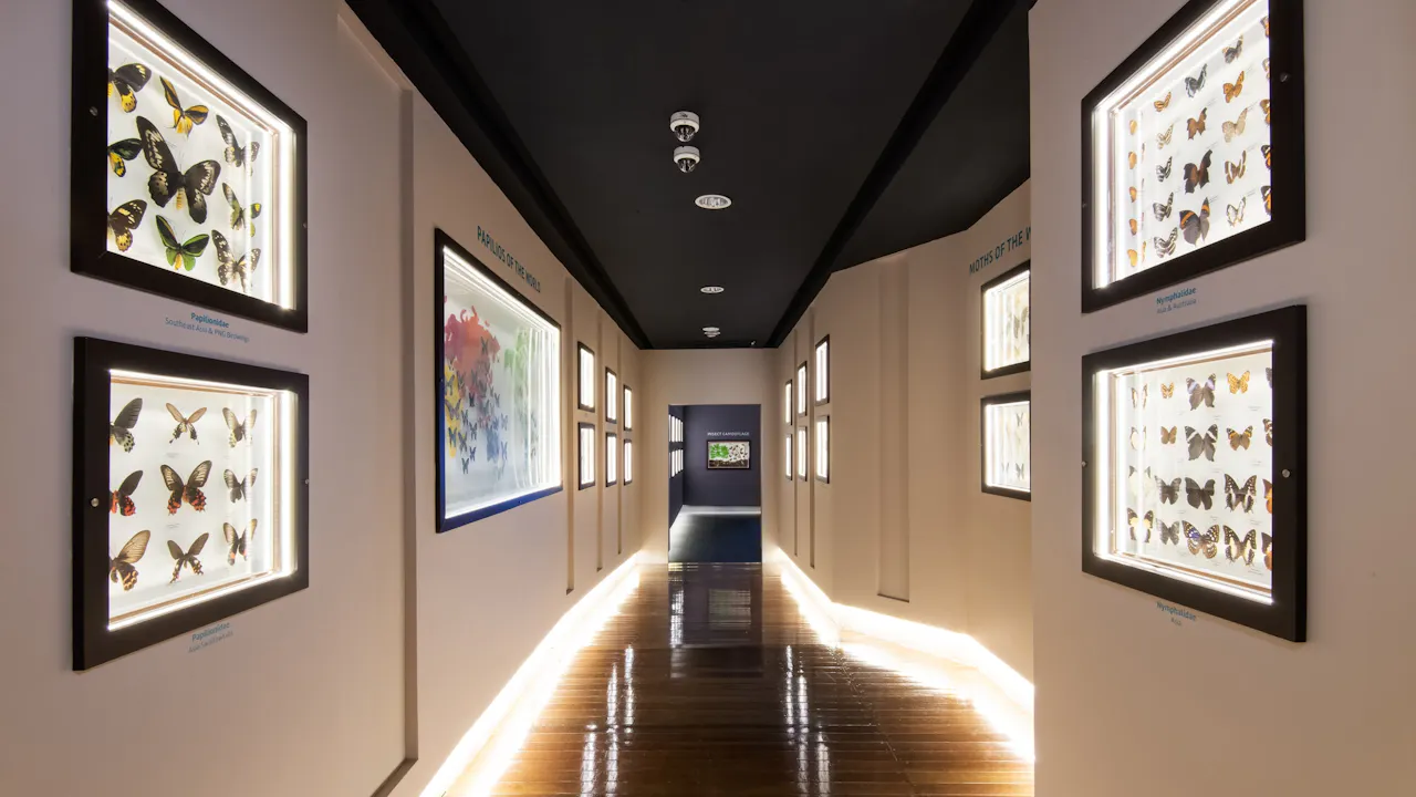 Entopia Admission Tickets Thrillark