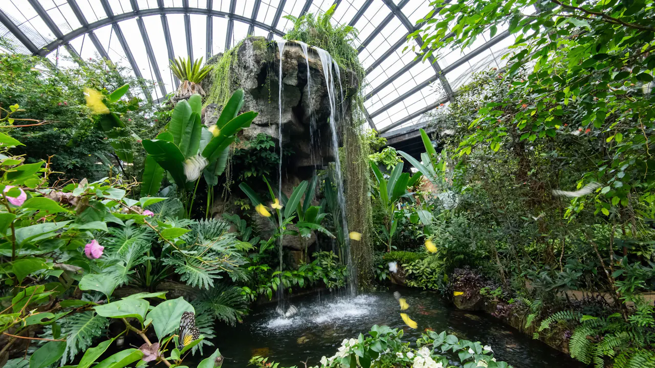 Entopia Admission Tickets Discount