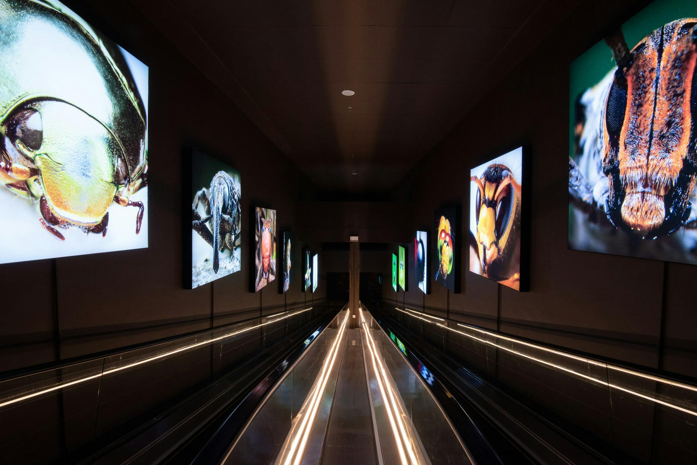 Entopia Admission Tickets Location