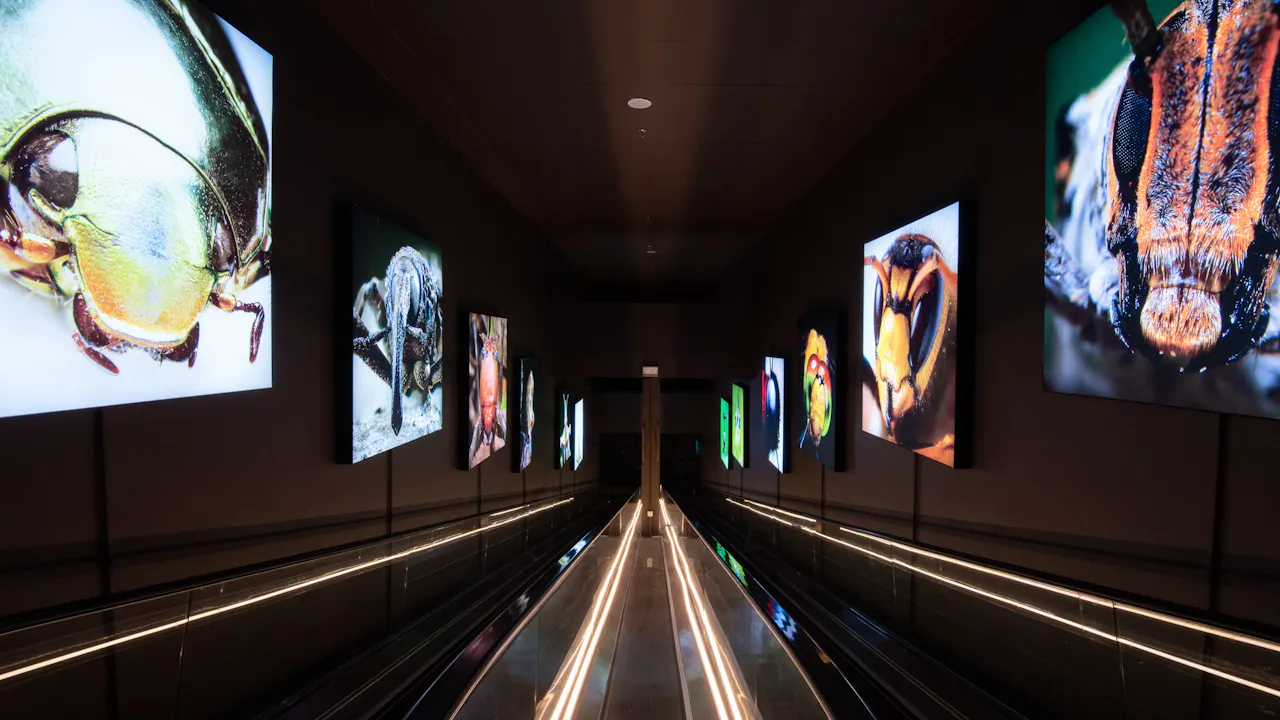 Entopia Admission Tickets Location