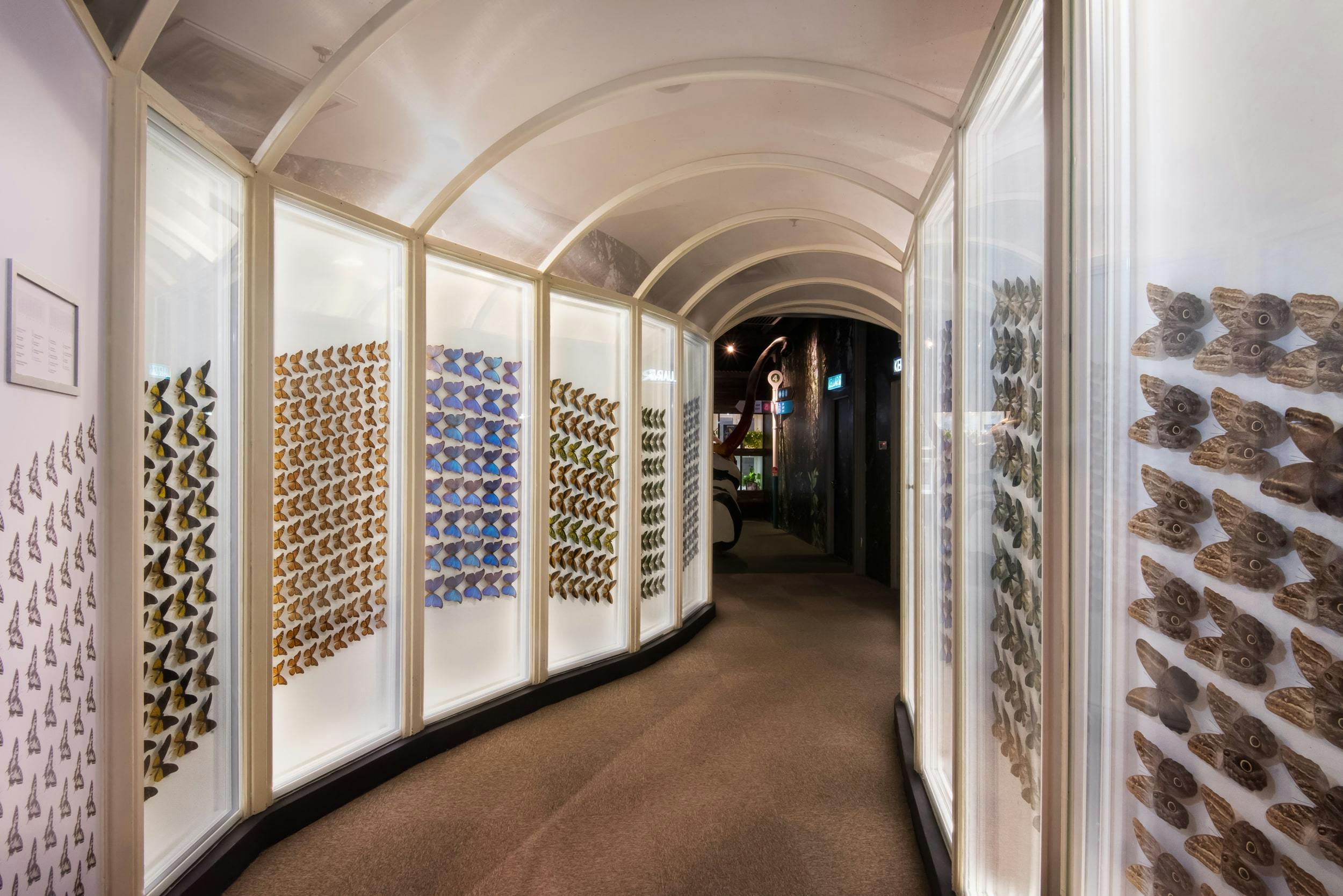 Entopia Admission Tickets Review