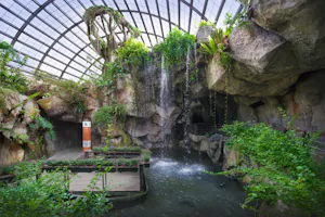 Entopia Admission Tickets