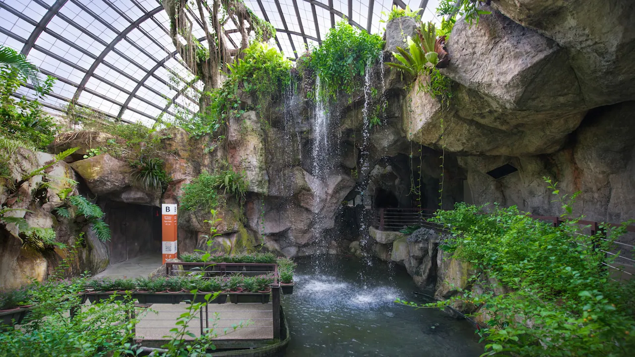 Entopia Admission Tickets