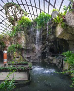 Entopia Admission Tickets