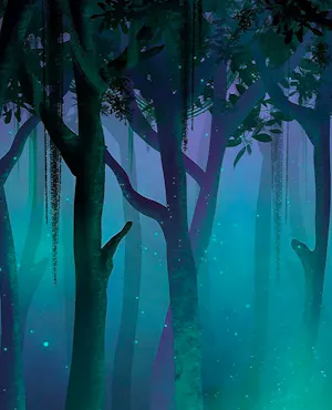 Dream Forest Langkawi Ticket