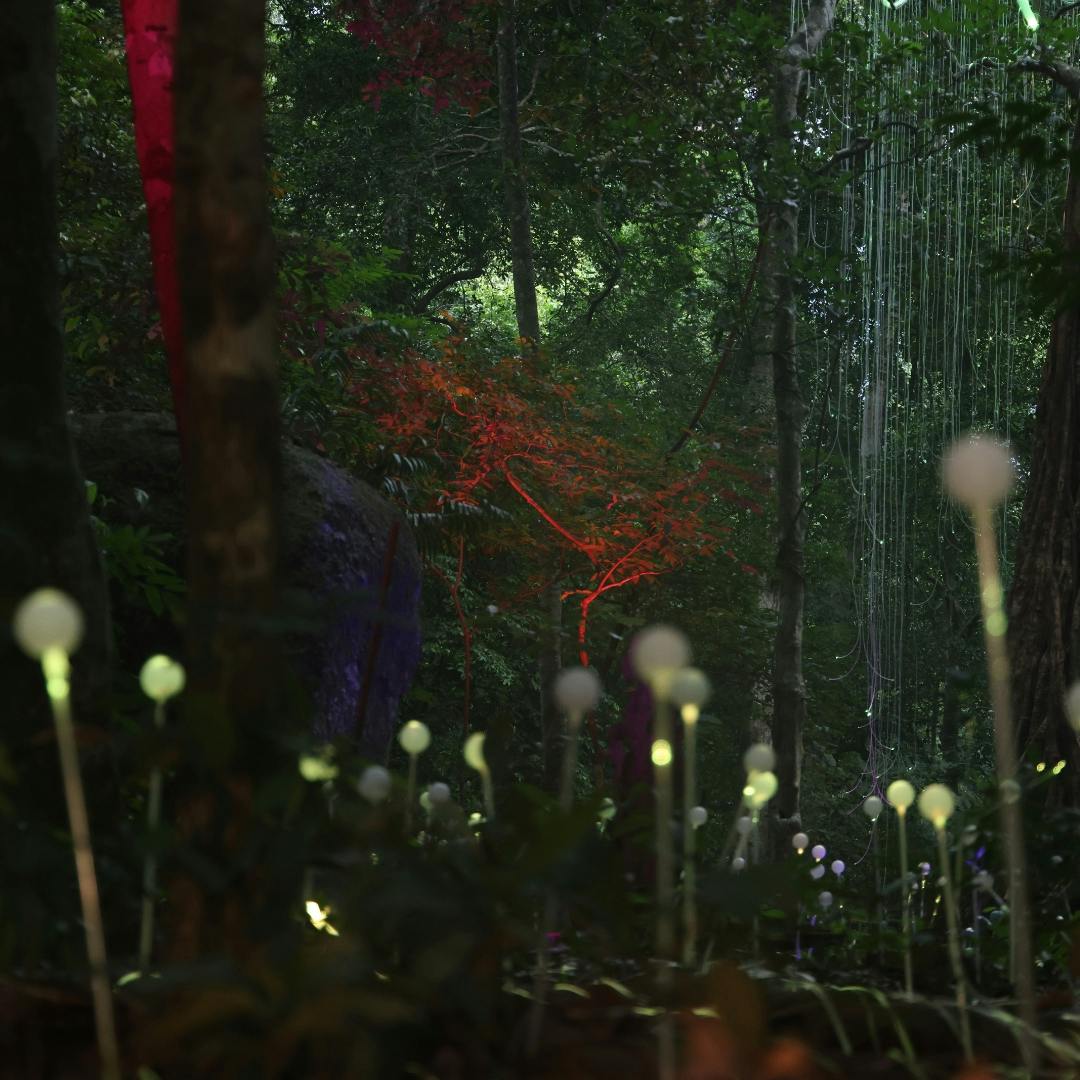 Dream Forest Langkawi Ticket Price