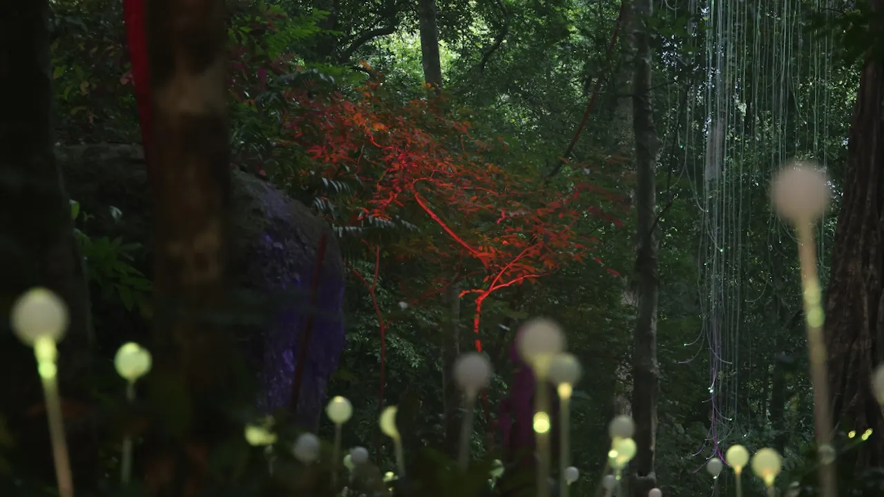 Dream Forest Langkawi Ticket Price