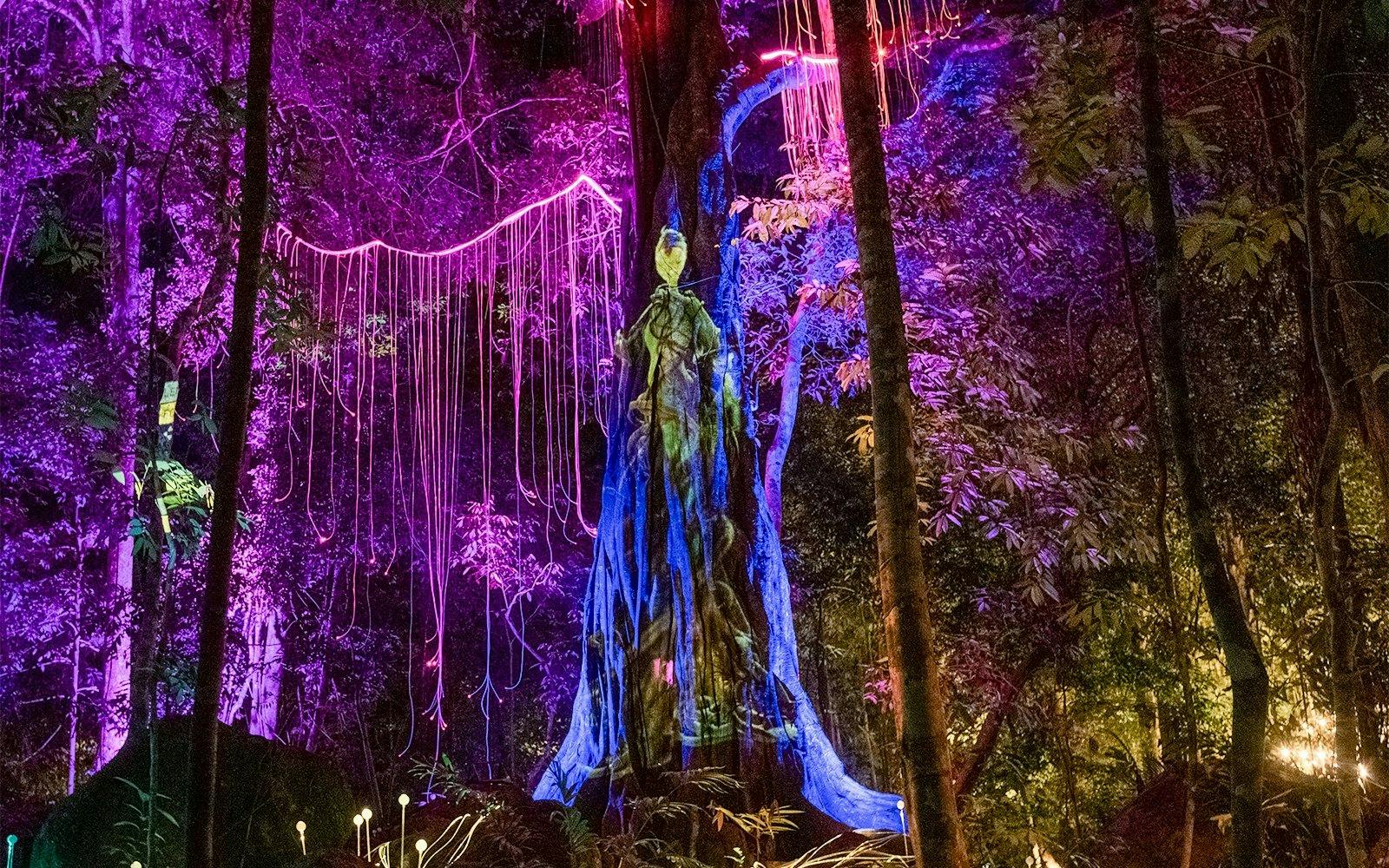 Dream Forest Langkawi Ticket 