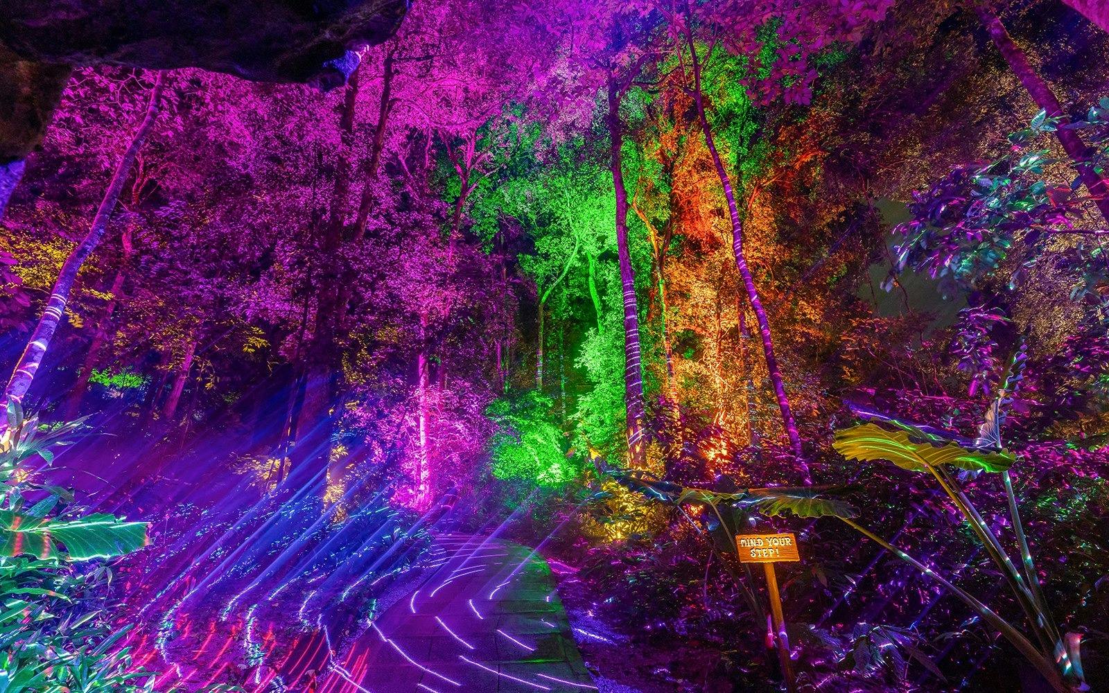 Dream Forest Langkawi Ticket Category