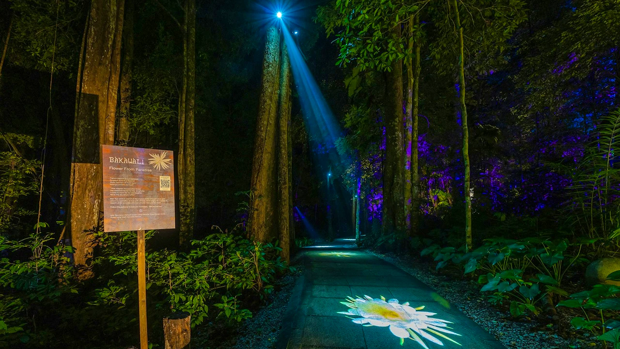 Dream Forest Langkawi Ticket Location