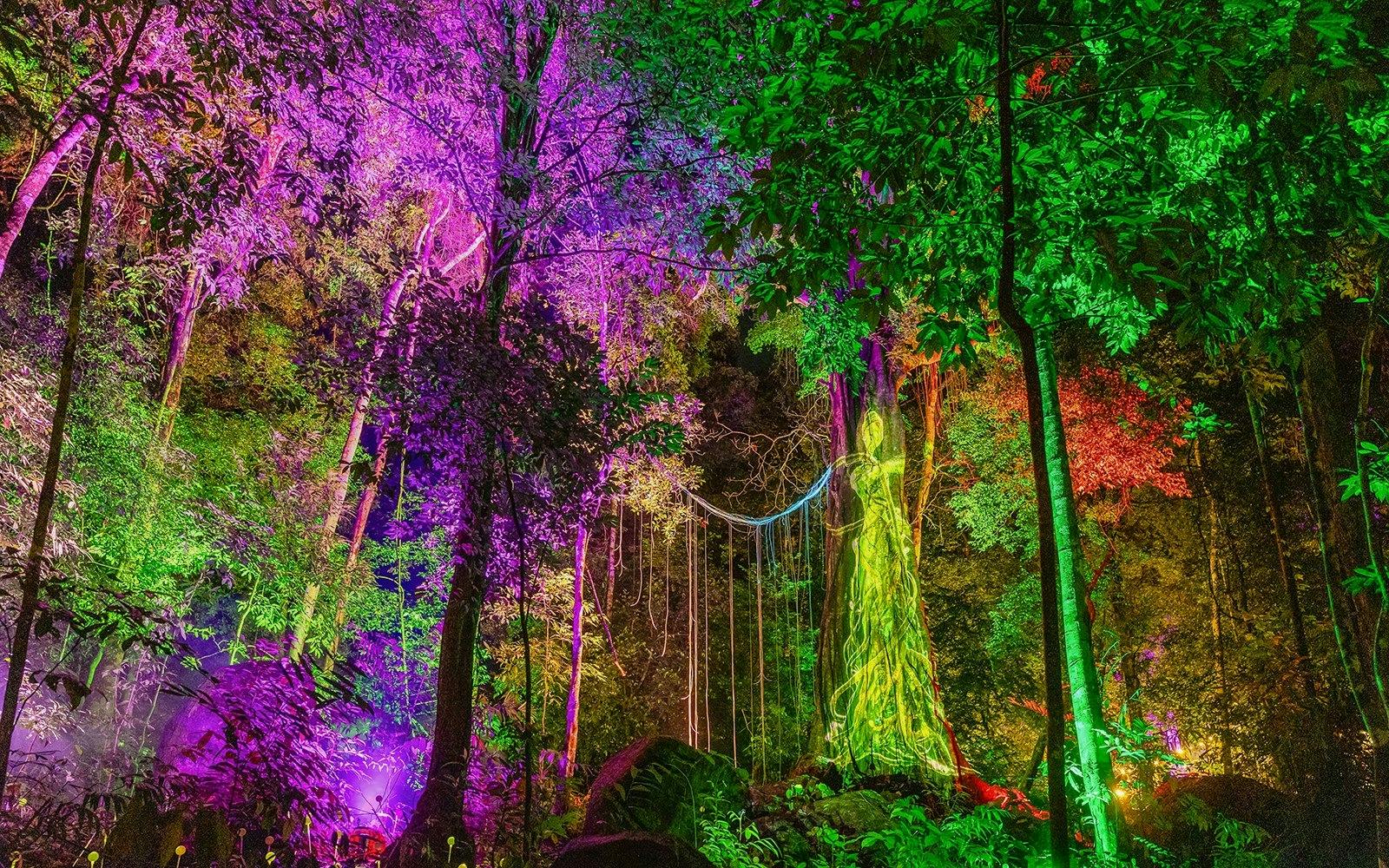 Dream Forest Langkawi Ticket Discount
