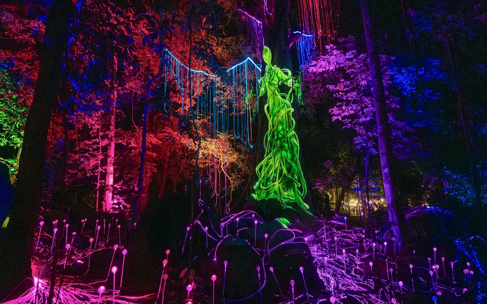 Dream Forest Langkawi Ticket Ticket
