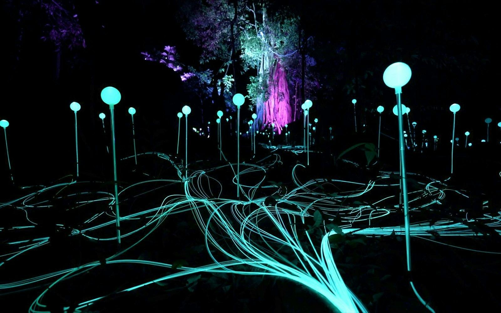Dream Forest Langkawi Ticket Price