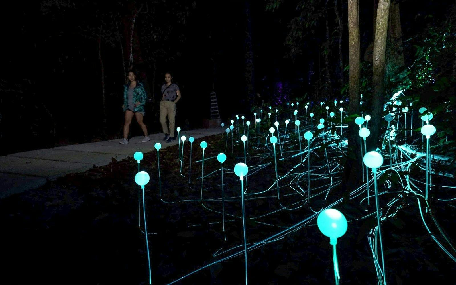 Dream Forest Langkawi Ticket Thrillark