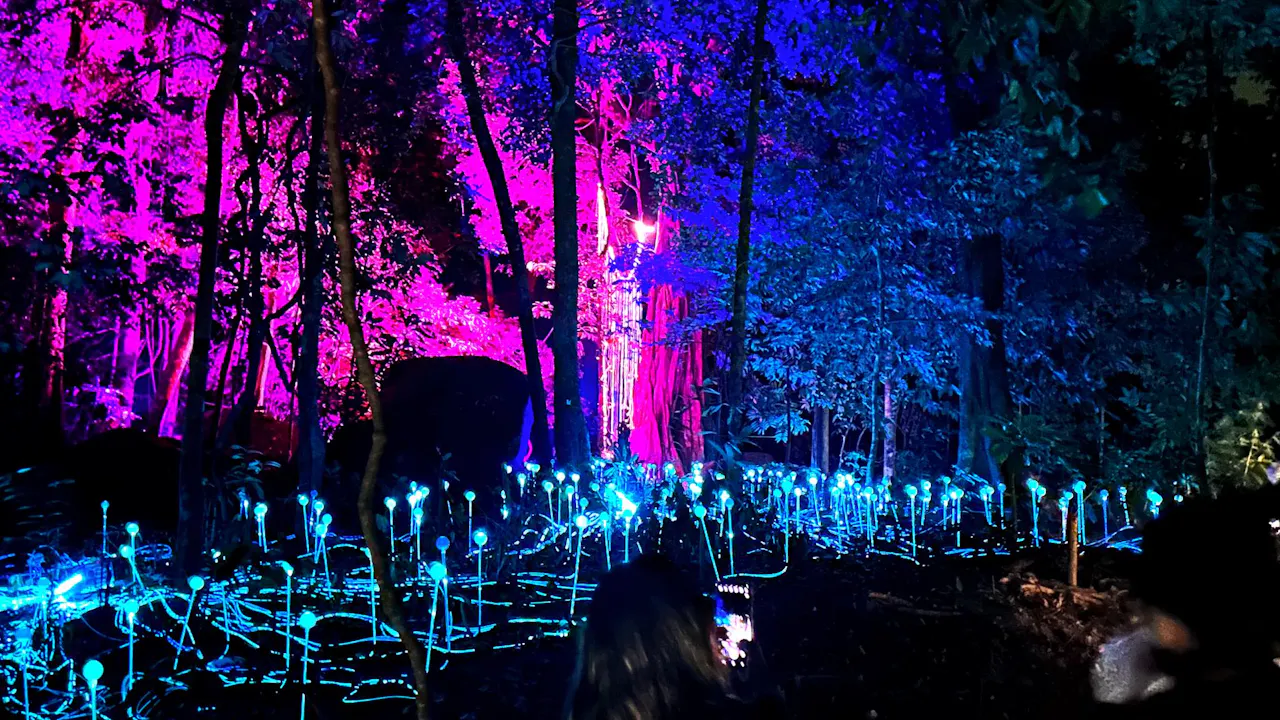 Dream Forest Langkawi Ticket Ticket