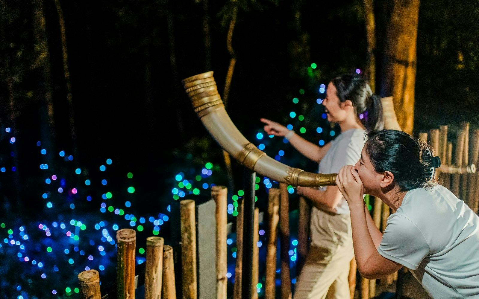 Dream Forest Langkawi Ticket Review