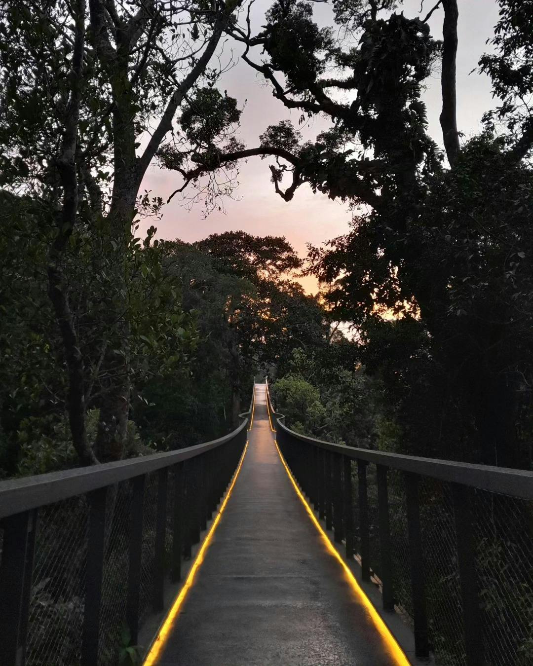 The Habitat Penang Hill Admission Ticket Location