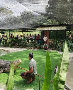 Crocodile Adventureland Langkawi