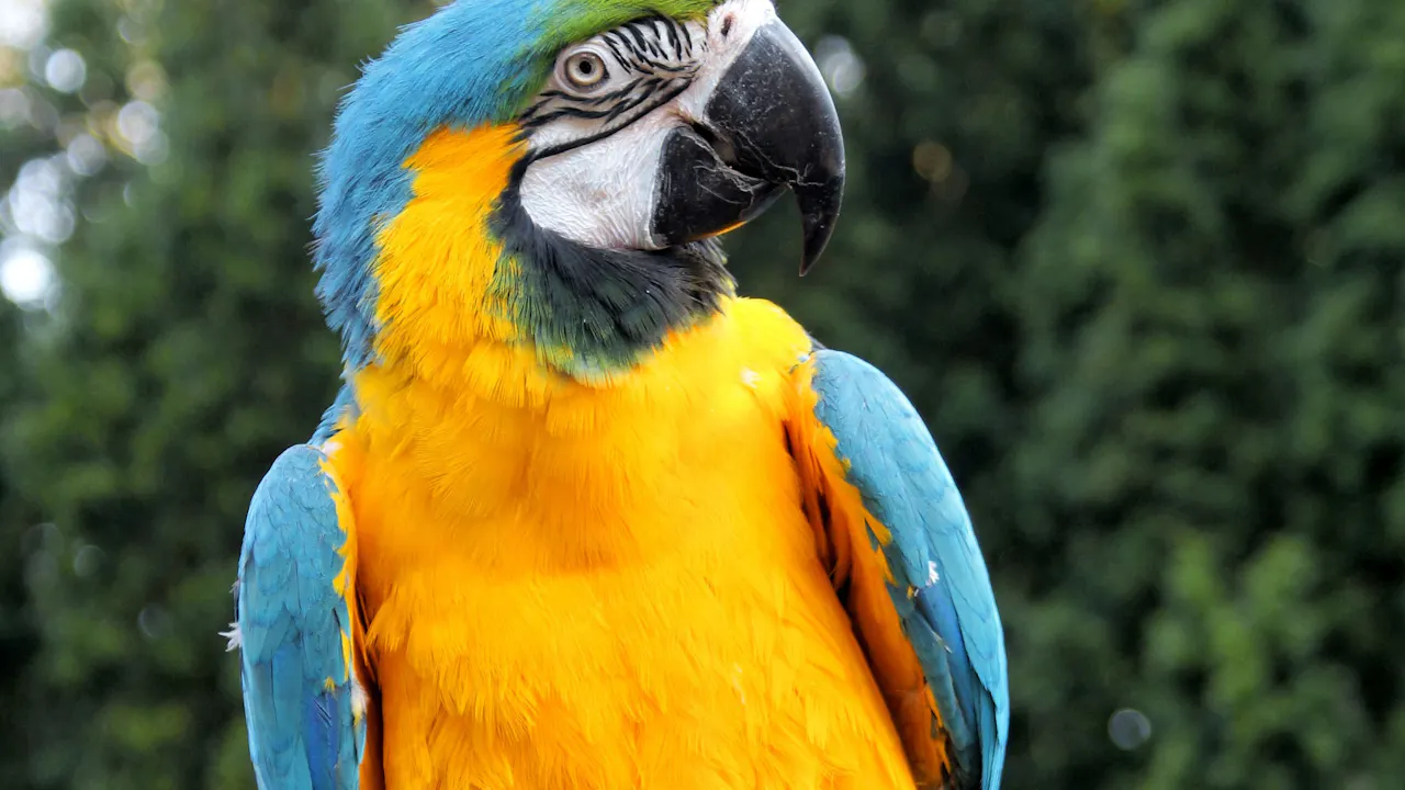 Wildlife Park Langkawi Admission Ticket