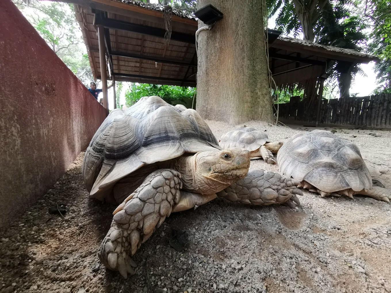 Zoo Melaka Tickets Location