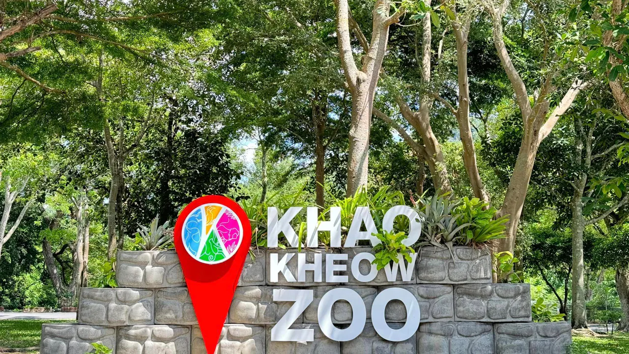 Khao Kheow Open Zoo Pattaya Tickets Price