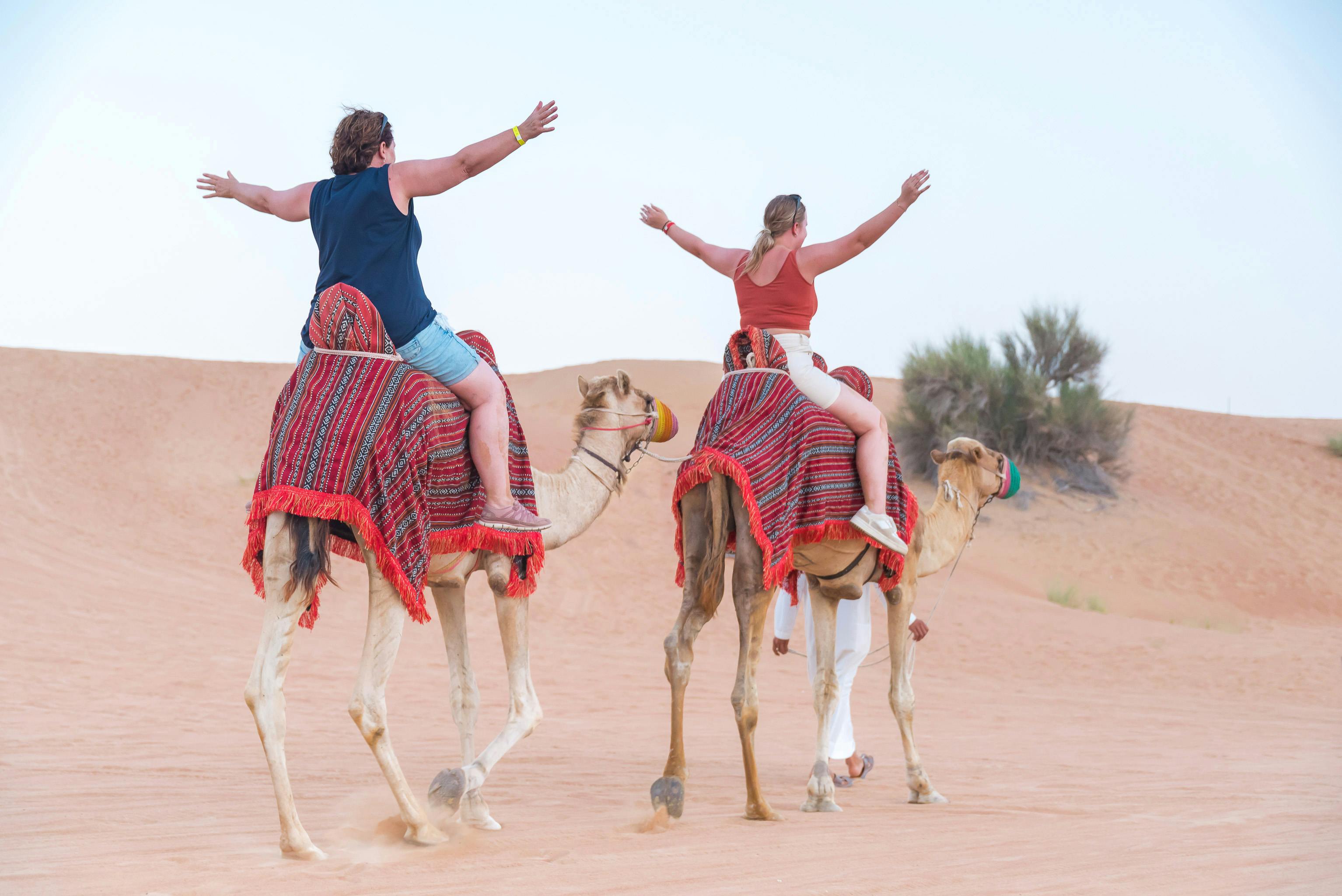 Overnight Hot Air Balloon experience in Dubai  Discount