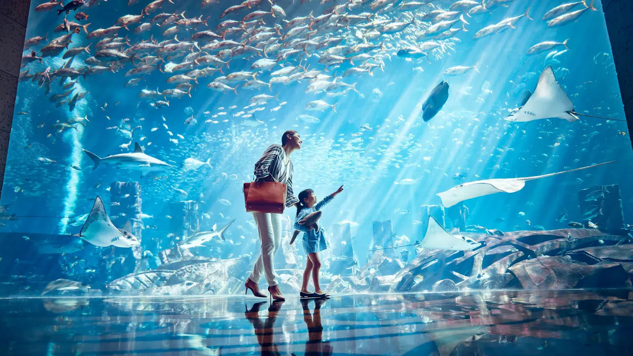 Luxury Dubai Escape (6 Nights & 7 Days) Discount