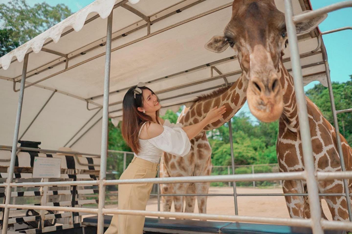 Kanchanaburi Safari Park Ticket and River Kwai Bridge Day Tour Thrillark