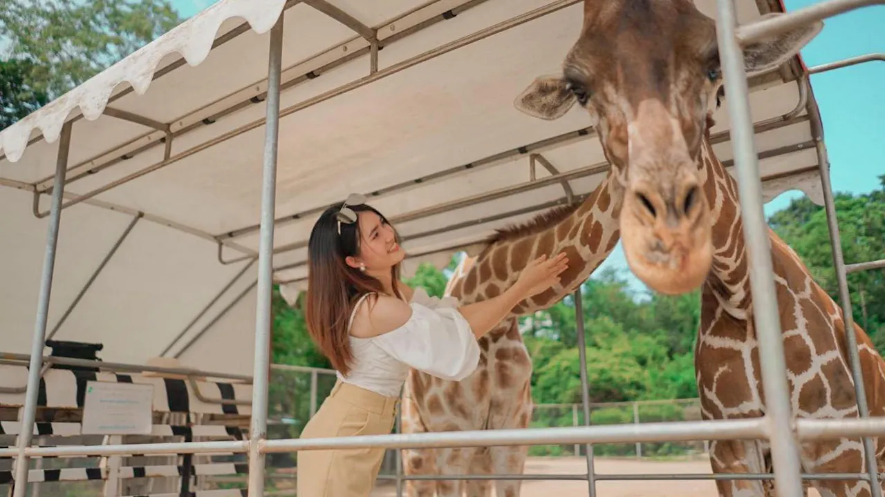 Kanchanaburi Safari Park Ticket and River Kwai Bridge Day Tour Thrillark