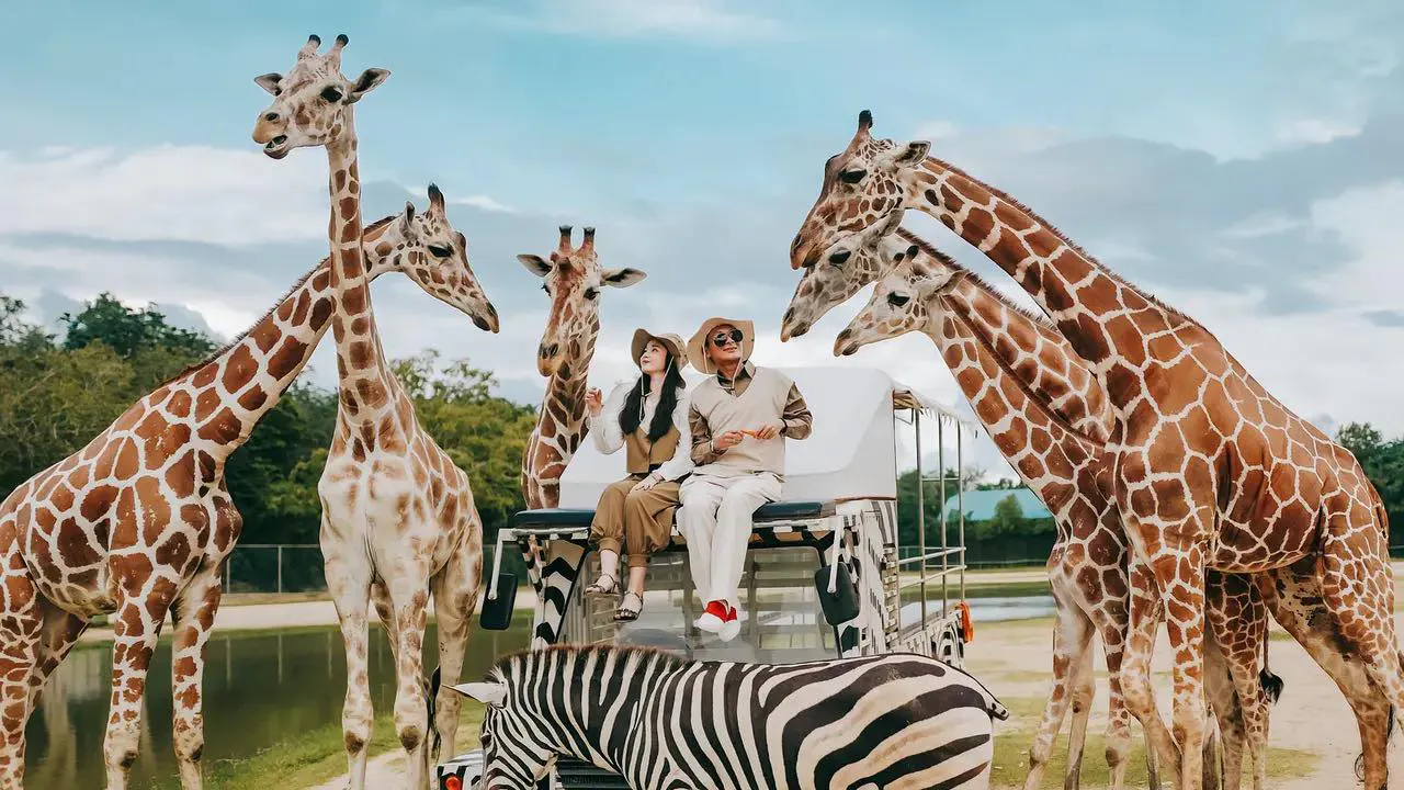 Kanchanaburi Safari Park Ticket and River Kwai Bridge Day Tour Review