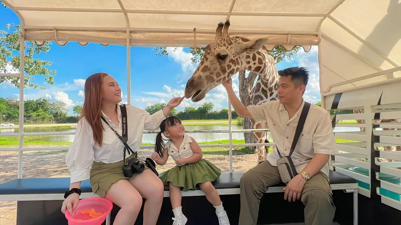 Kanchanaburi Safari Park Ticket and River Kwai Bridge Day Tour