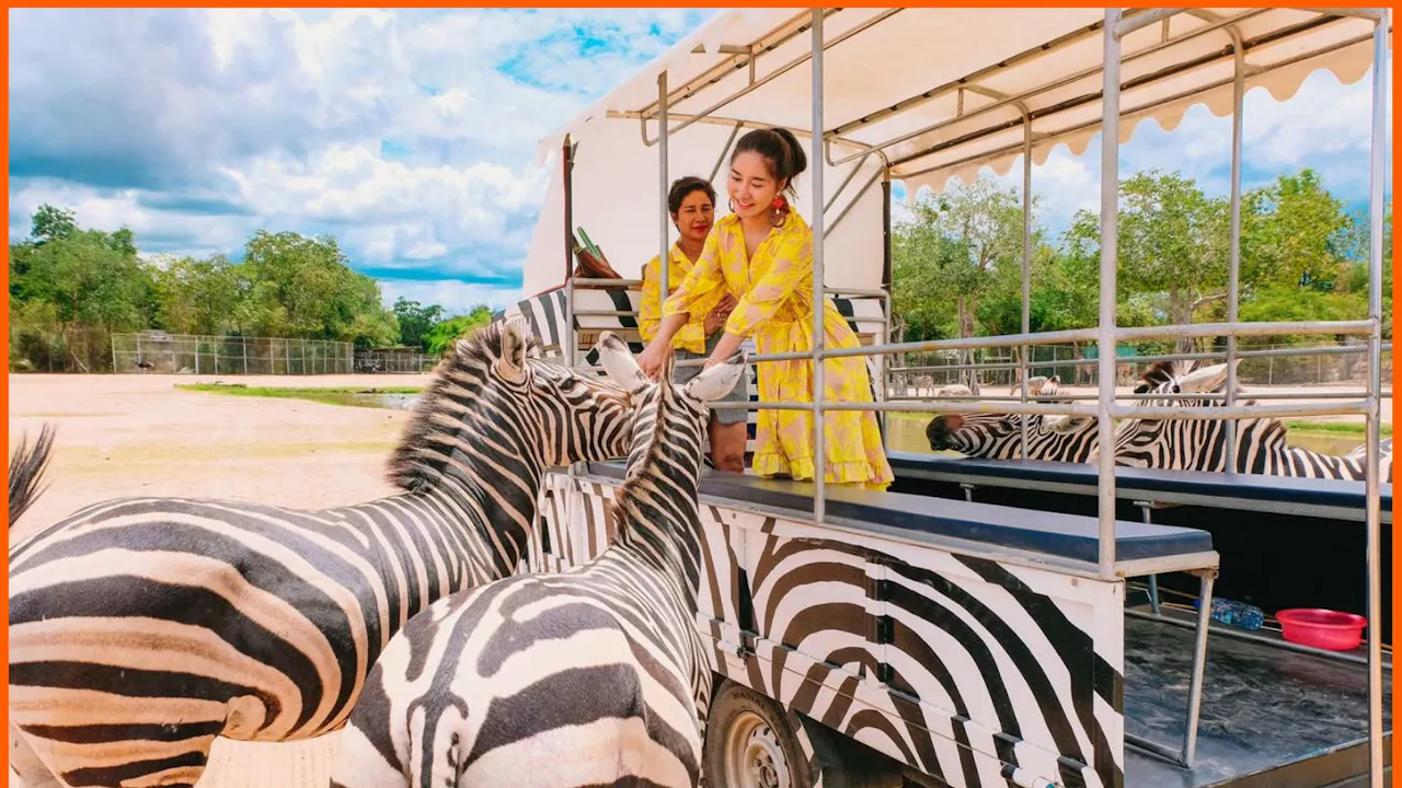 Kanchanaburi Safari Park Ticket and River Kwai Bridge Day Tour