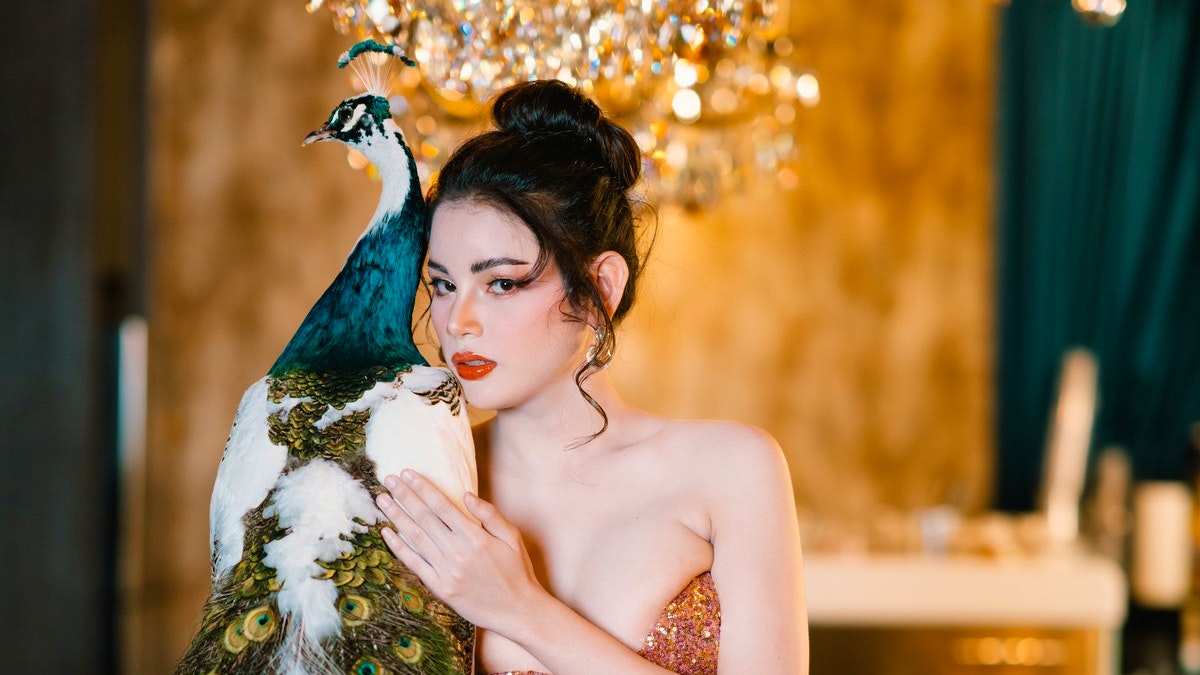 Golden Dome Cabaret Show Tickets Review