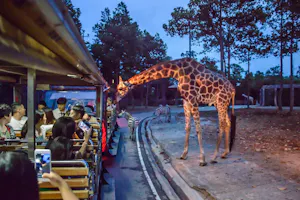 Chiang Mai Night Safari Park Ticket