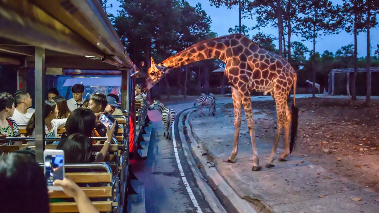 Chiang Mai Night Safari Park Ticket Price