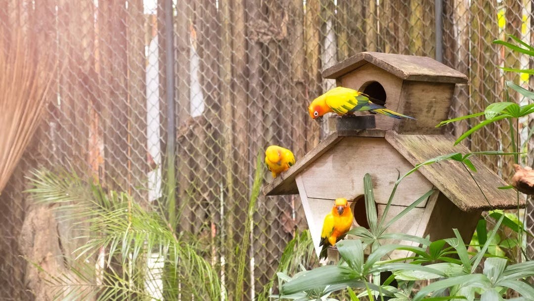 Phuket Bird Park Ticket Discount