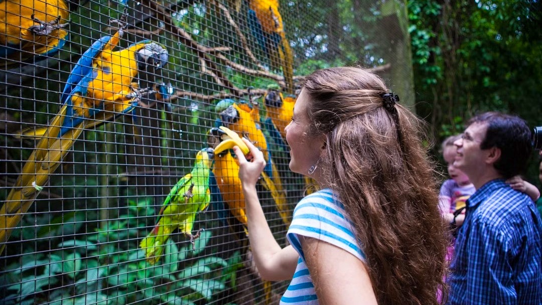 Phuket Bird Park Ticket Price