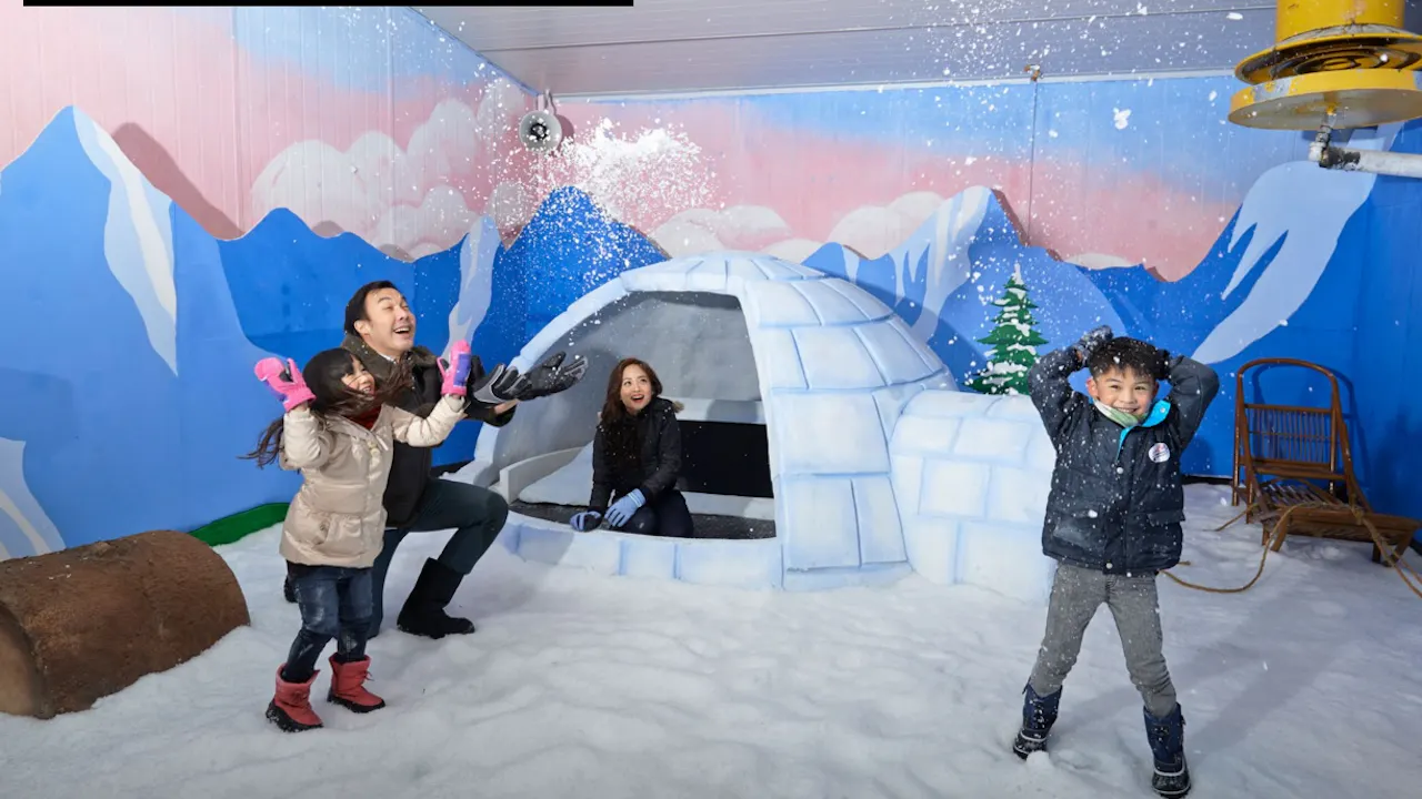 Snow City Singapore Ticket Price