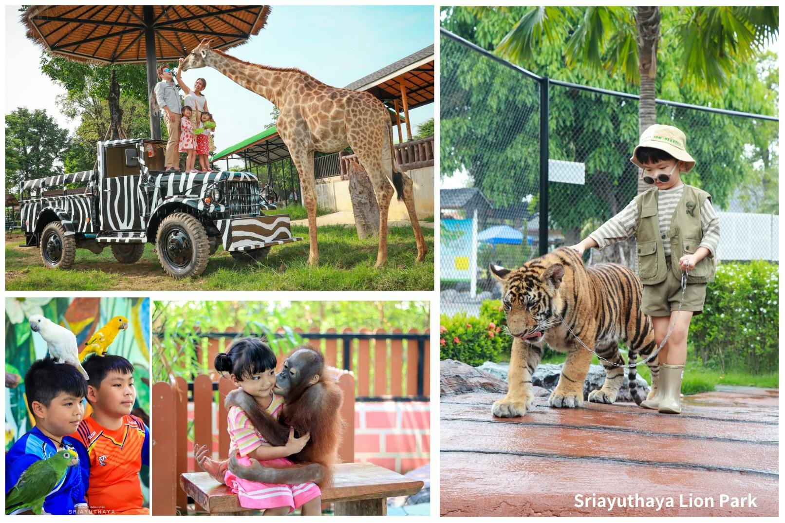 The Historic City Of Ayutthaya And Sriayuthaya Lion Park Day Tour Discount