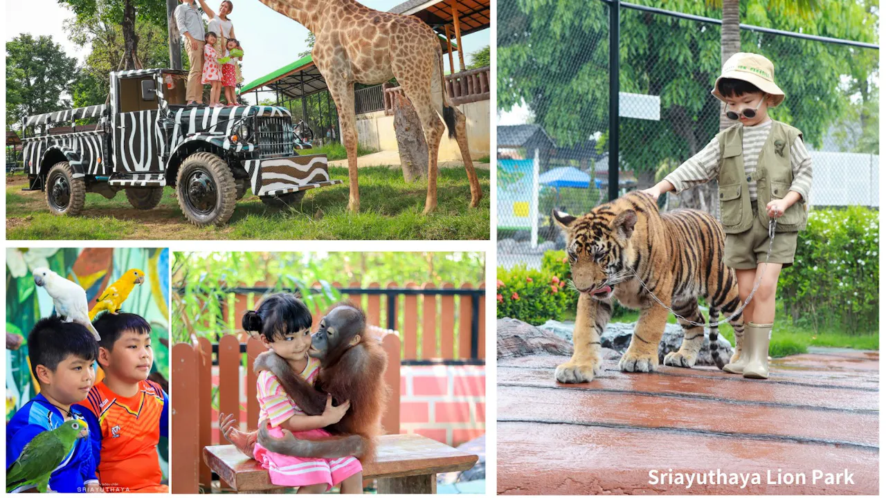 The Historic City Of Ayutthaya And Sriayuthaya Lion Park Day Tour Discount