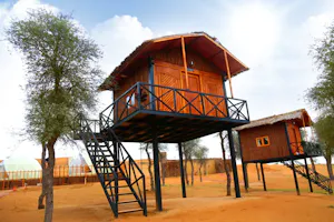 Overnight Camping in Elevated Tree House  (2 Persons)