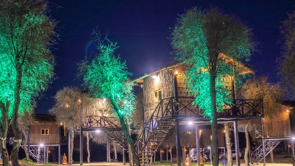 Overnight Camping in Elevated Tree House (2 Persons) Discount