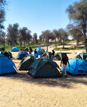 Overnight Camping Igloo Tent  (2 Persons)