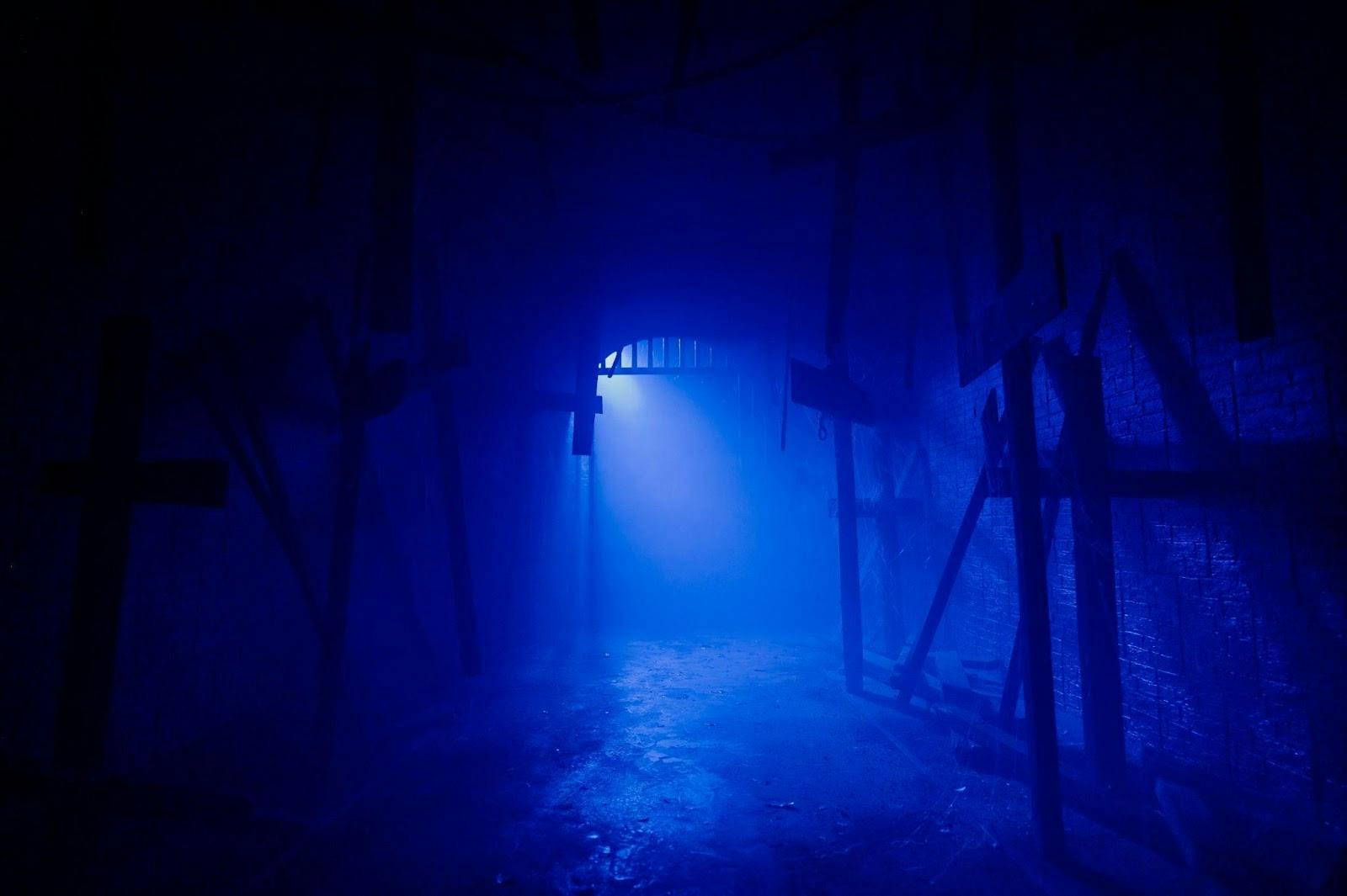 The Conjuring Universe Tour Discount